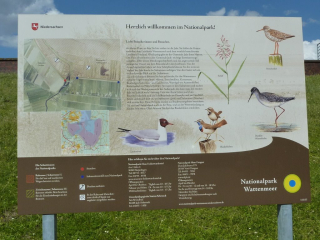 Infotafel der Nationalparkverwaltung am s&uuml;dlichen Jadebusen  [Foto: R. Akkermann]